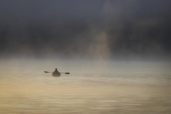 Foggy Morning Row