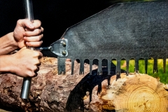 See Saw