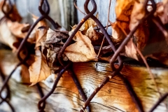 Rust