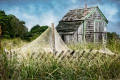 Fishnet Fence