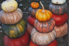 Pumpkins