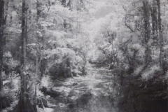 Big Cypress Preserve
