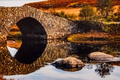The Stone Bridge