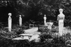 The Garden Party