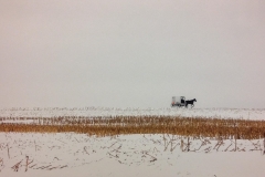 A Cold Lonely Journey