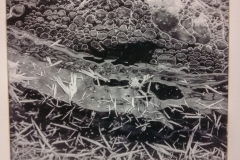 Lapland Lake Abstract
