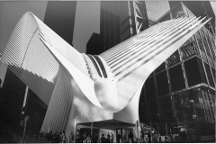 Oculus