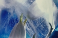Flower Fantasy in Blue