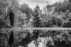 Water Edge Plotter Kill Falls