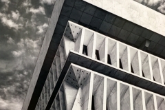 NYS Museum