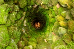 Old Well