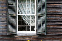 Old Window New Flowers