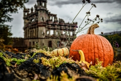 Bannermans Pumpkin