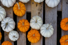 Pumpkins