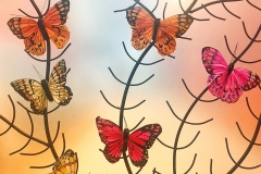 Butterflies