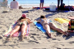 California Beach Scene