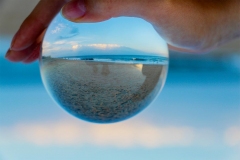 Trying Hand At Beach Macro
