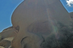 Skull Rock Joshua Tree Natl Park