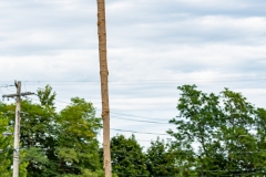 The Caber Toss