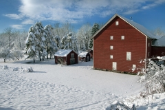 After The Storm