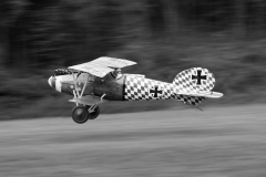 Incoming Albatros
