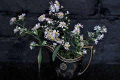 Little Flowers