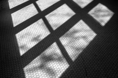 Shadow