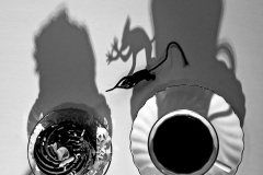 Lurking In Shadows