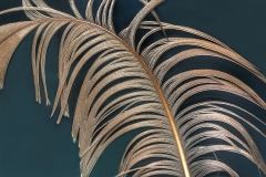 Fairweather Feather