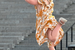 The Ballerina