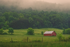 Red Barn In Morning Mist