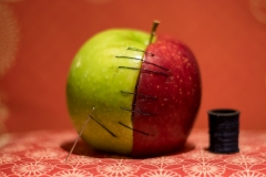 Stitched To The Core