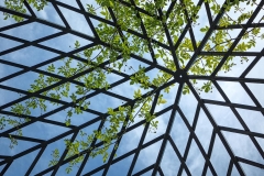 Look Up