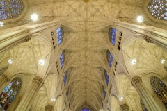 Saint Patricks Cathedral