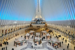 The Oculus