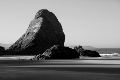 Coastal Behemoth