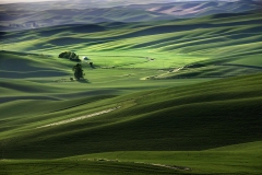 Lone Farm