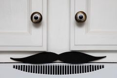 Cabinet Man