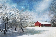 Snowy Scene