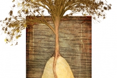 Pear Root