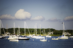 Harbor Boats