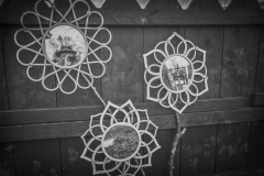 Wall Flowers