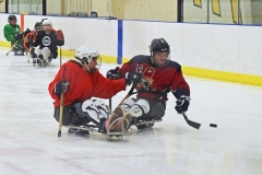 Sled Warriors