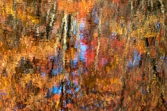 0318PRG0-General[Bob_Coppola]Autumn-Serenade