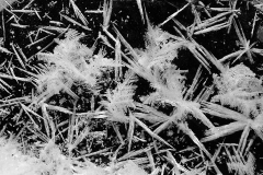 0318PRG0-General[Colleen_Magai]Lapland-Creek