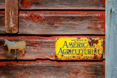 American Agriculturist