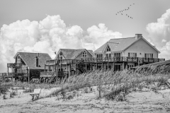 Beach Houses