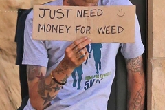 Just Need Money for Weed