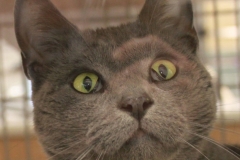 Crazy Eyes
