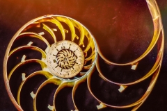 Spirals of Time